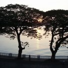 Genealogias de São Tomé e Príncipe – Subsídios, de Jorge Forjaz