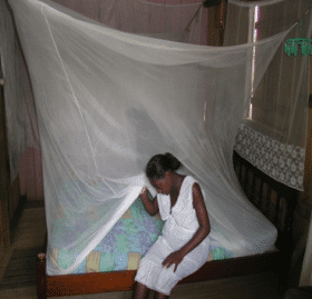 Mosquiteiro