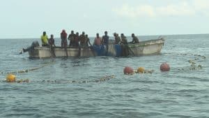Projeto de pesca responsável impulsiona adoção da técnica de palangre