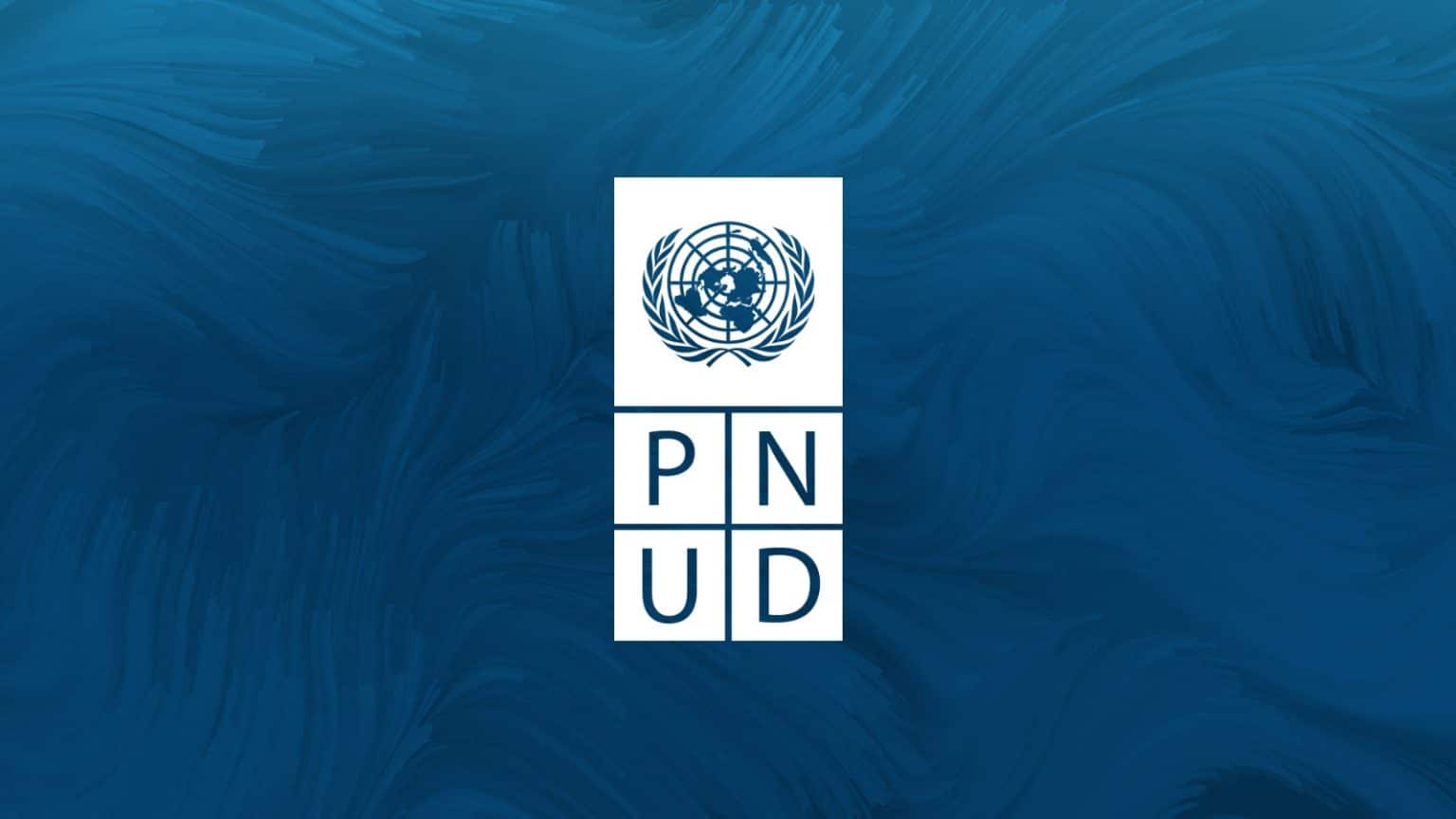 PNUD – Venda de vários itens – Téla Nón