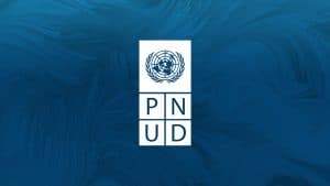 PNUD – Venda de 3 viaturas
